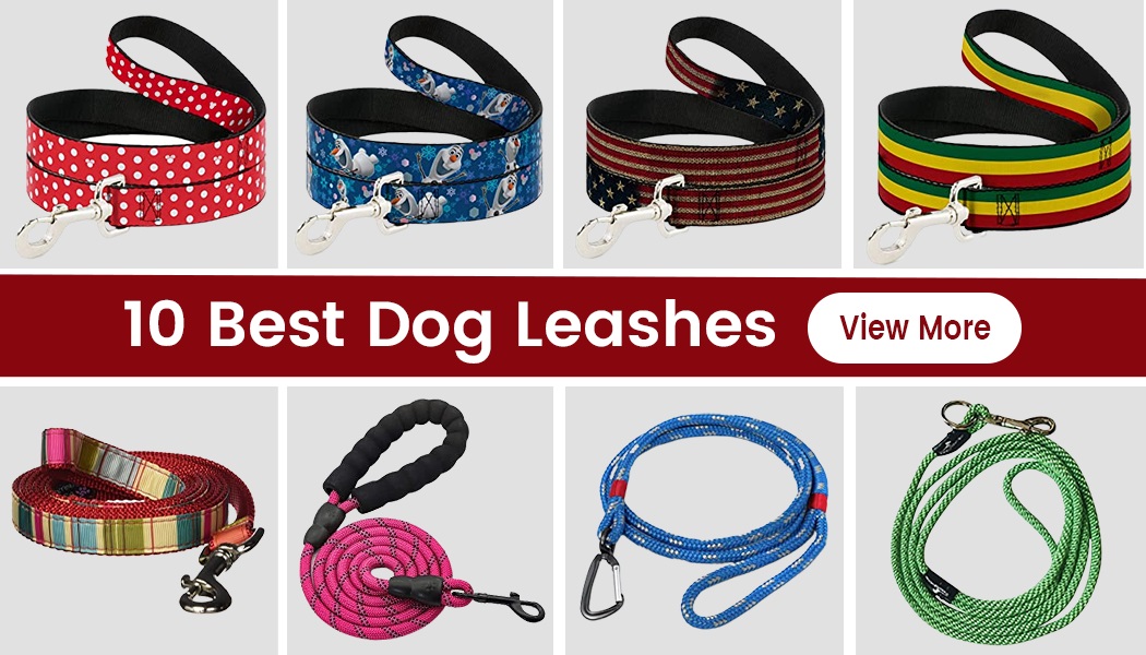 10 Best Dog Leashes For 2024